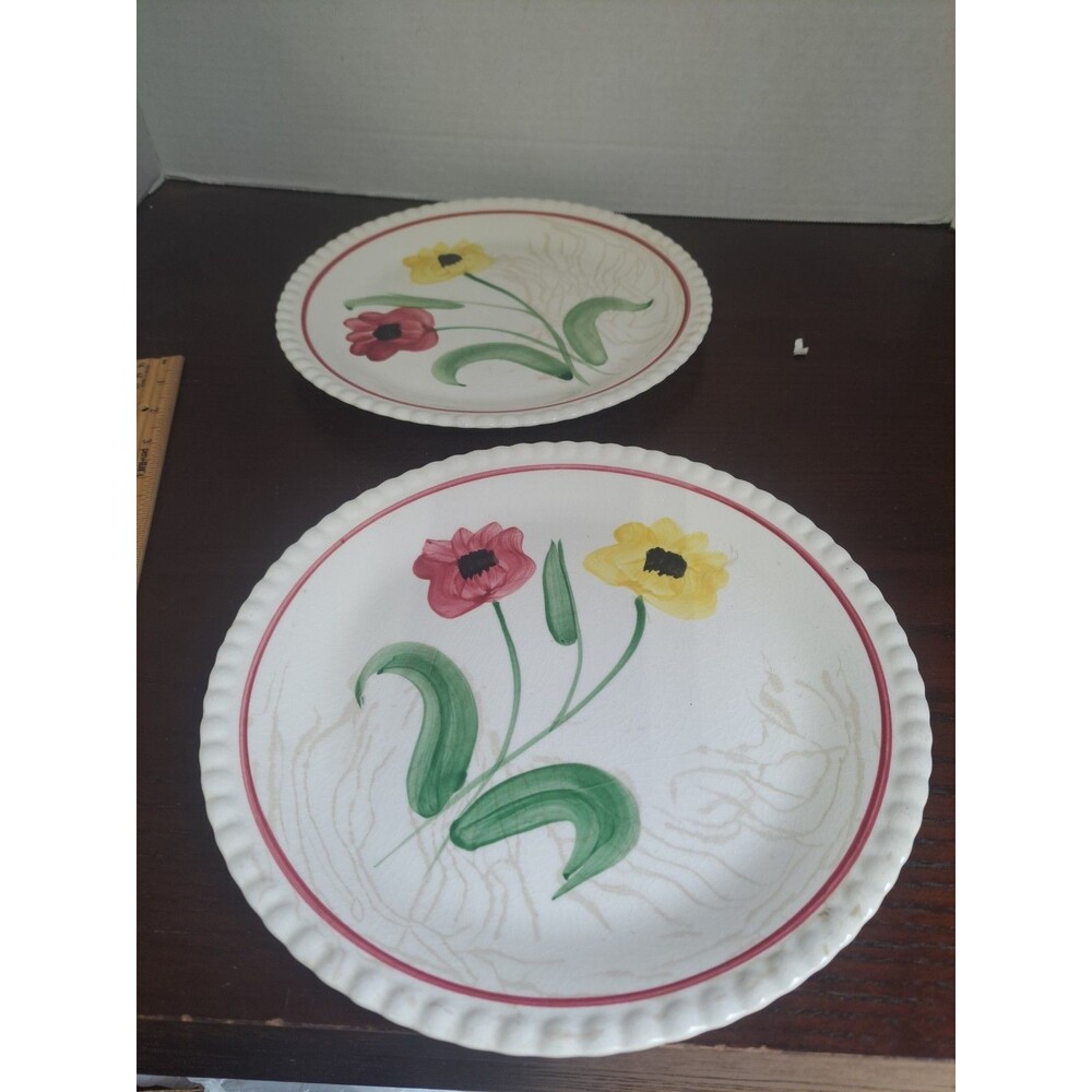 Set Of 2 Vintage 1930s Blue Ridge Souther Pottery Poppy Duet 9.5in Dinner Plates